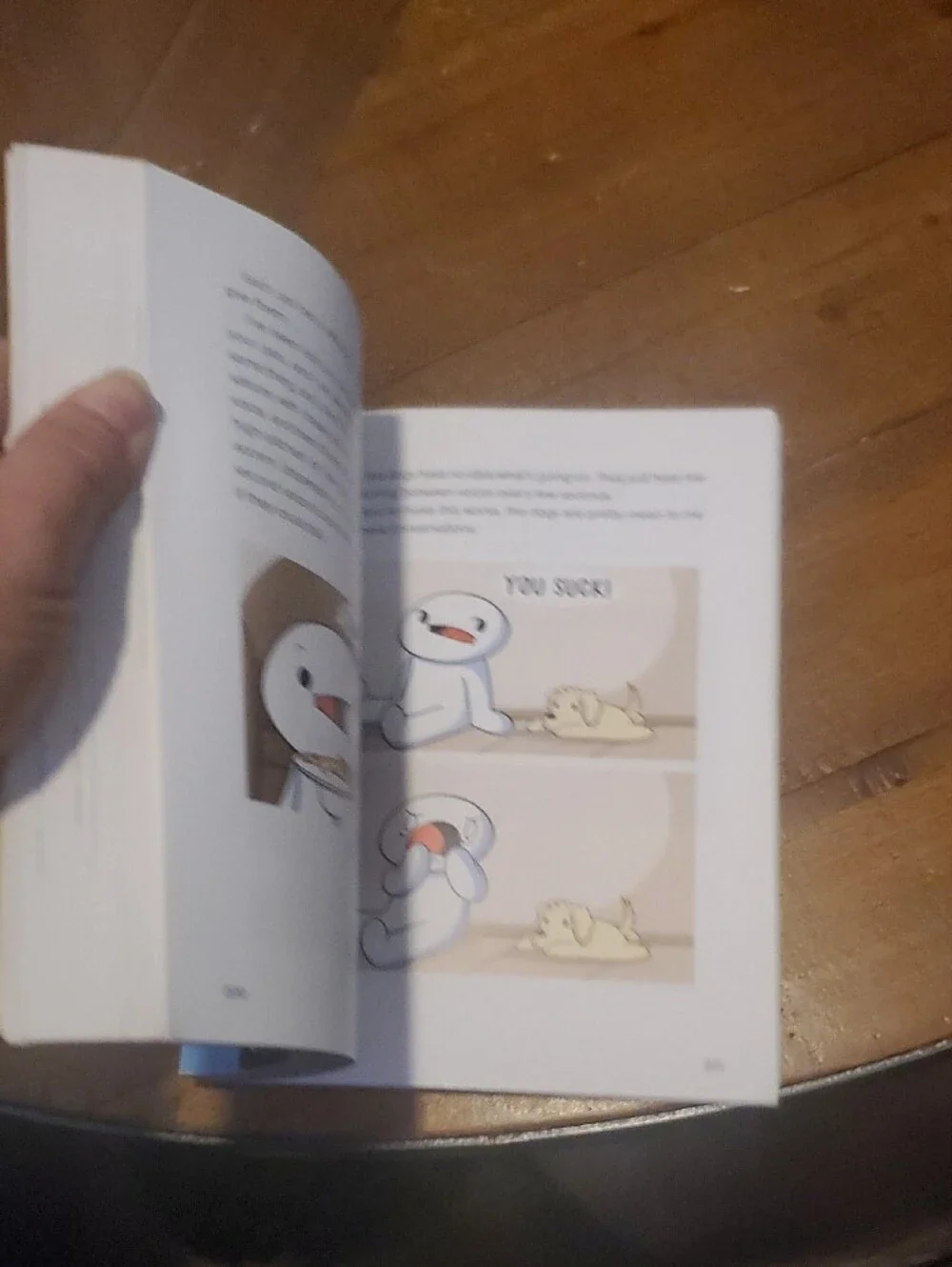 The Odd 1st Out Book